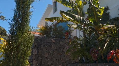 Foto 4 de Casa o xalet de lloguer a Camino Manzanilla, La Vega - El Amparo - Cueva del Viento, Icod de los Vinos