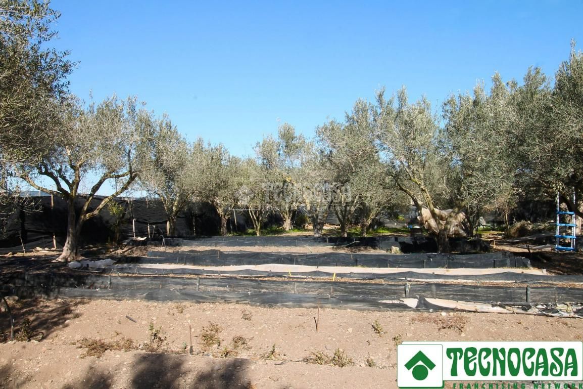 Finca rústica en venda a San Isidro - Campohermoso