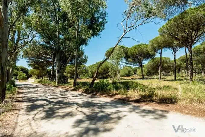 Terrenys i solars en venda a Novo Sancti Petri, imagen 10