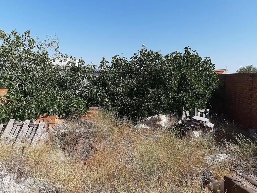 Rustikales Grundstück zum Verkauf in C/ Calixto García de la Parra, imagen 6