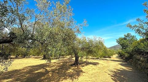 Photo 5 of Residential for sale in Freginals, Tarragona