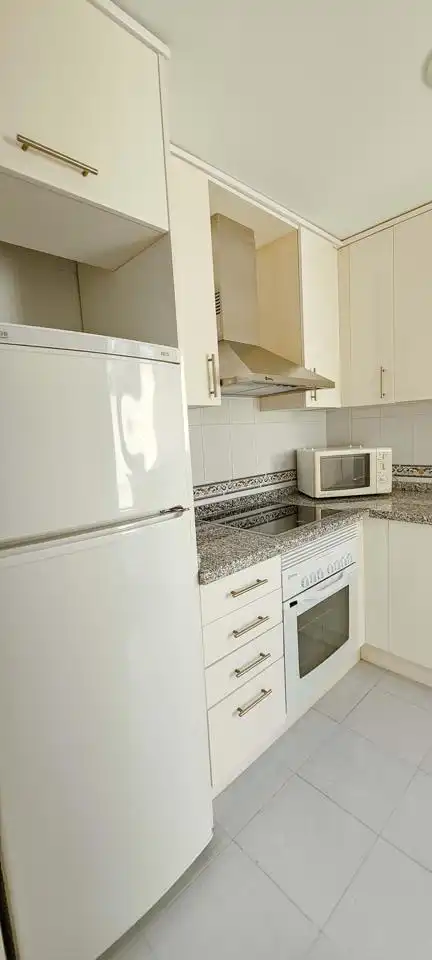 Attic for rent in La Duquesa