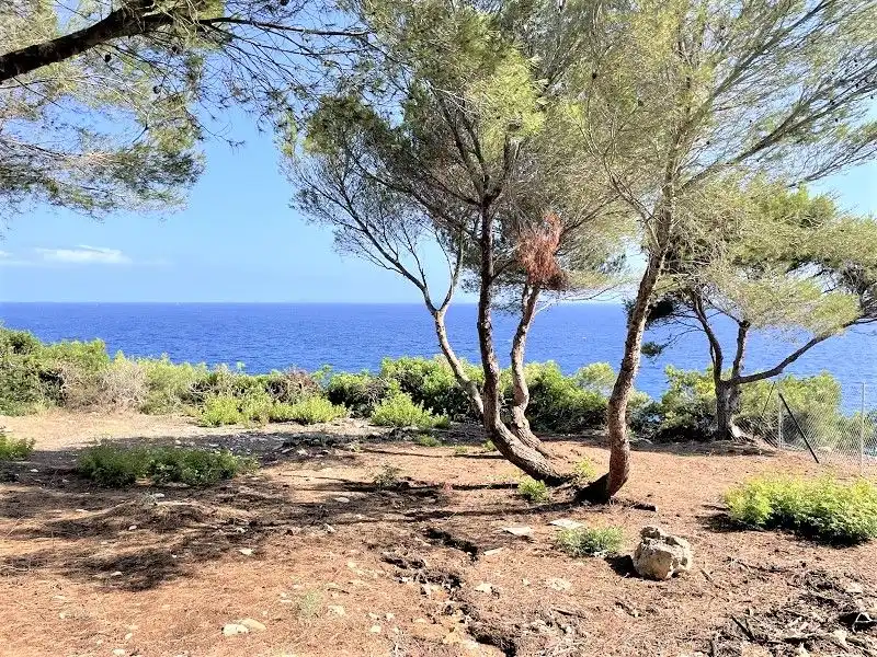 Terreny residencial en venda a Cala Pi - Vallgornera