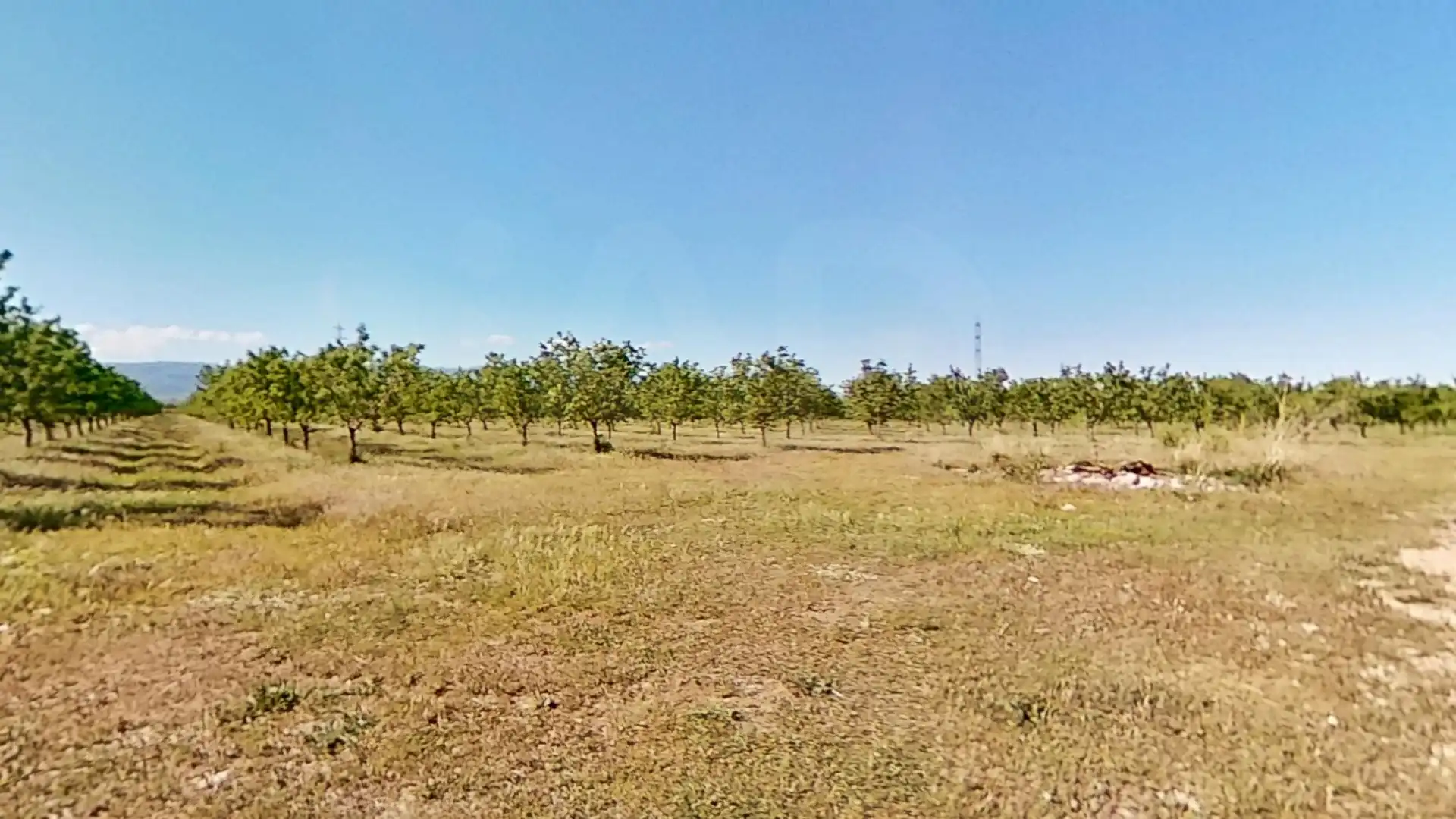 Terreny rústic en venda a Ulldecona, imagen 15