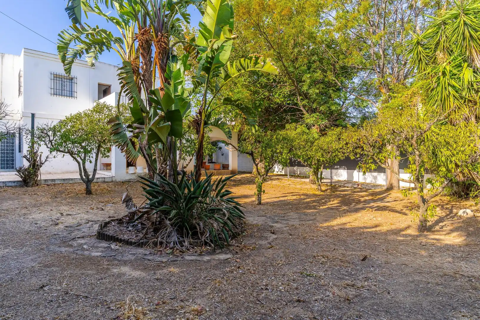 Maison à vendre à Ctra Sanlúcar - Cuatro Pinos, imagen 8