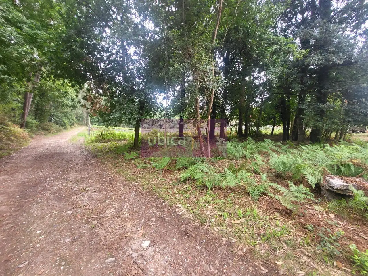 Terreny residencial en venda a Salceda de Caselas, imagen 8