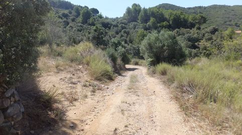 Foto 4 de Terreny en venda a Partida Les Tallades, Alforja, Tarragona