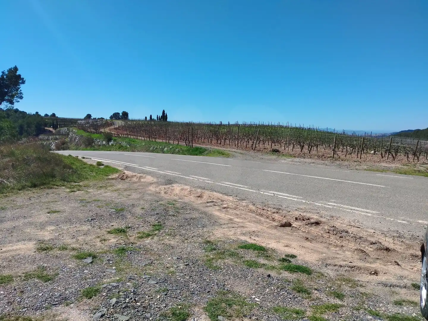 Exterior view of Land for sale in La Morera de Montsant