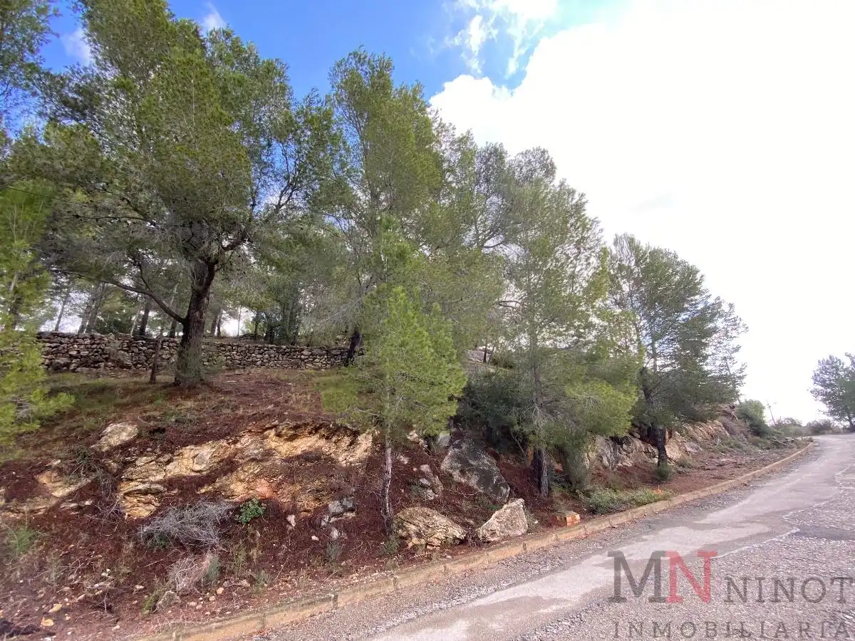 Terrenys i solars en venda a TRAMONTANA 42, imagen 3