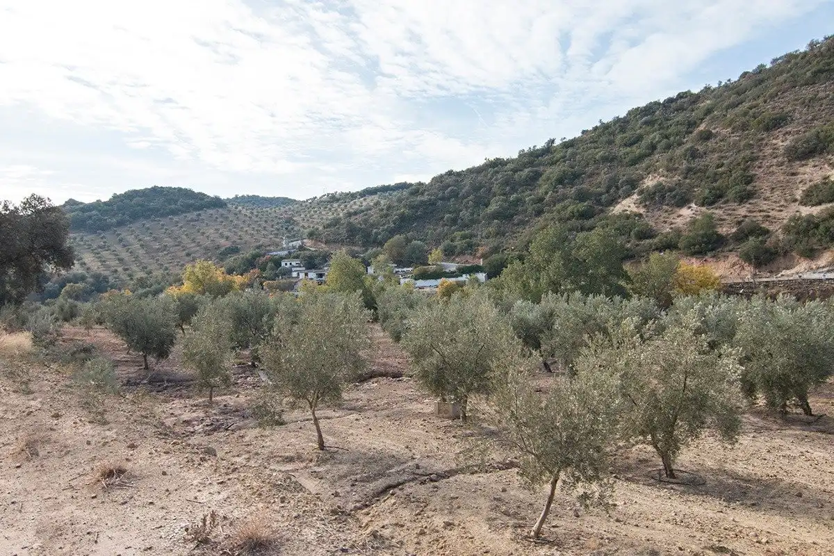 Country homes for sale in Loja