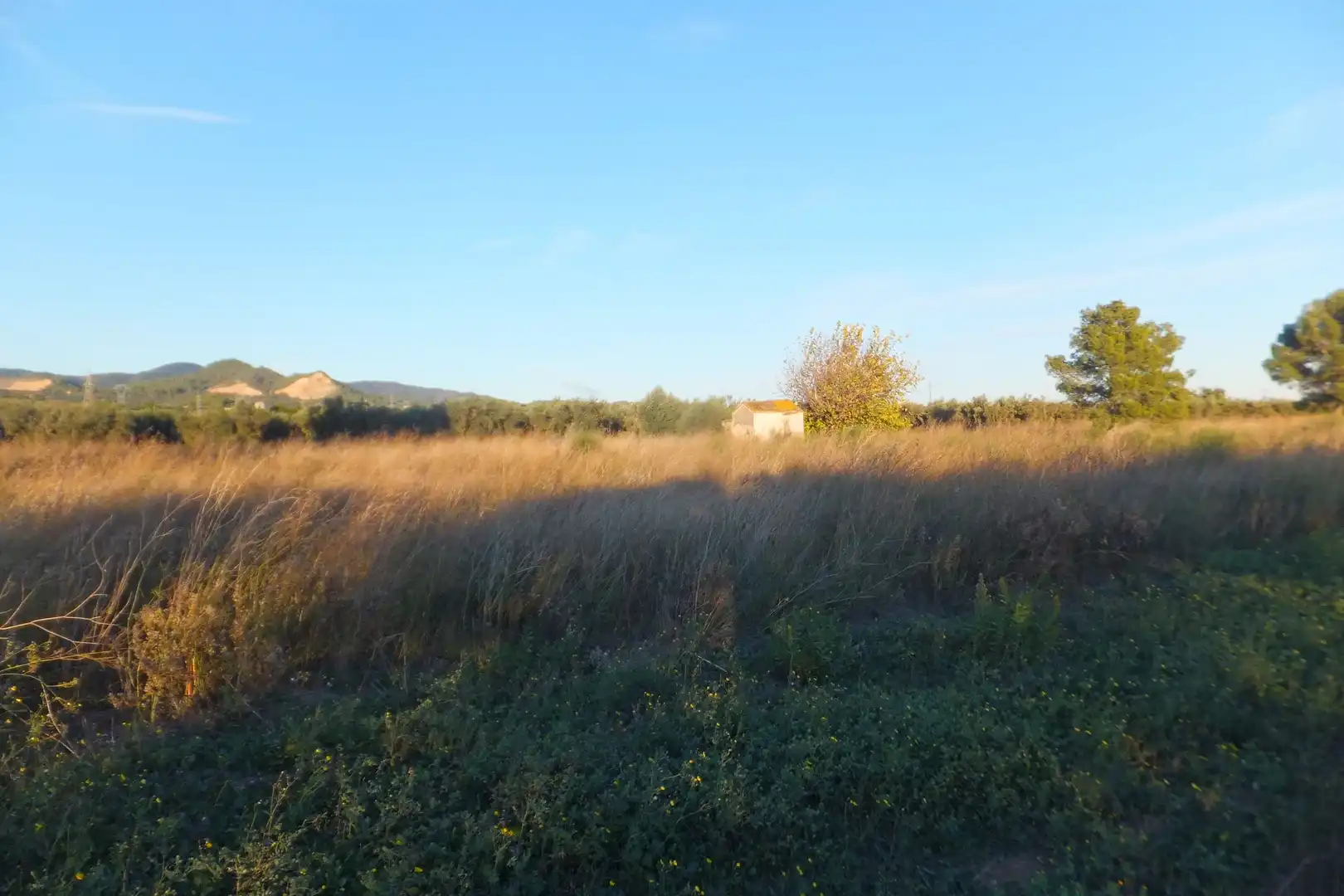 Grundstücke zum Verkauf in Reus