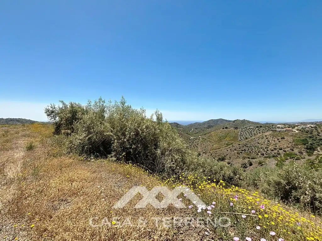 Land for sale in Canillas de Albaida