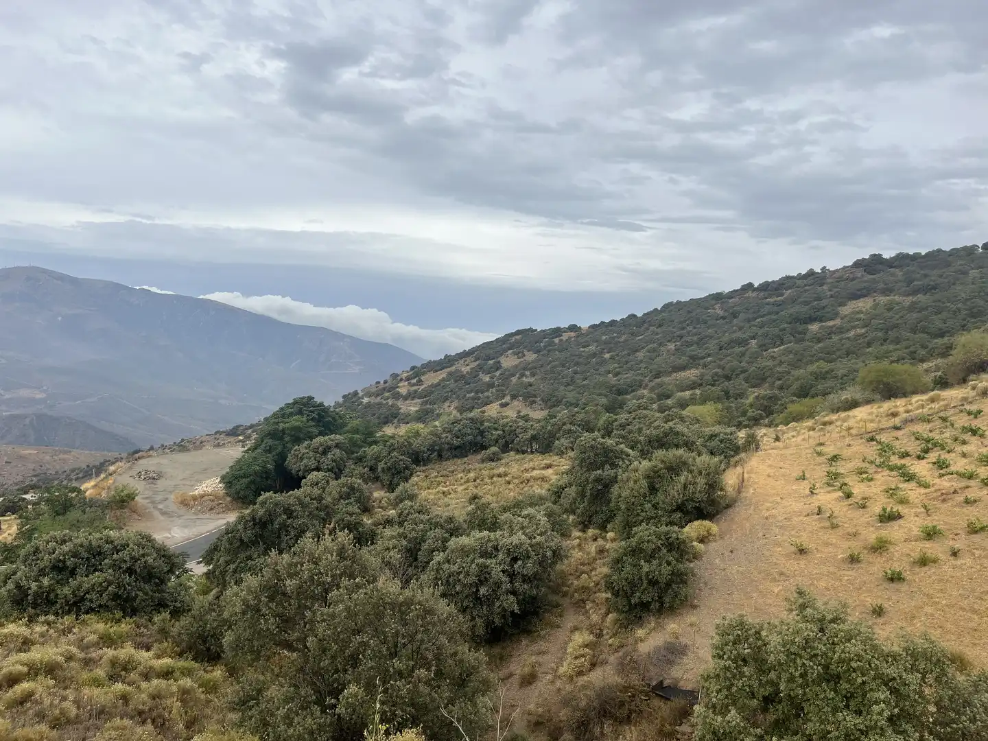 Terreno en venta en La Taha