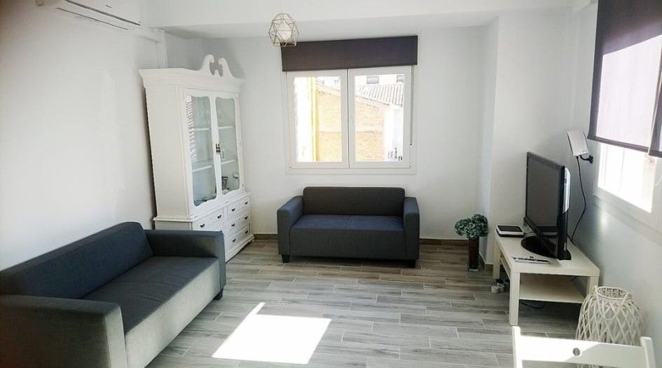 Living room of Flat for sale in Málaga Capital  with Air Conditioner and Heating