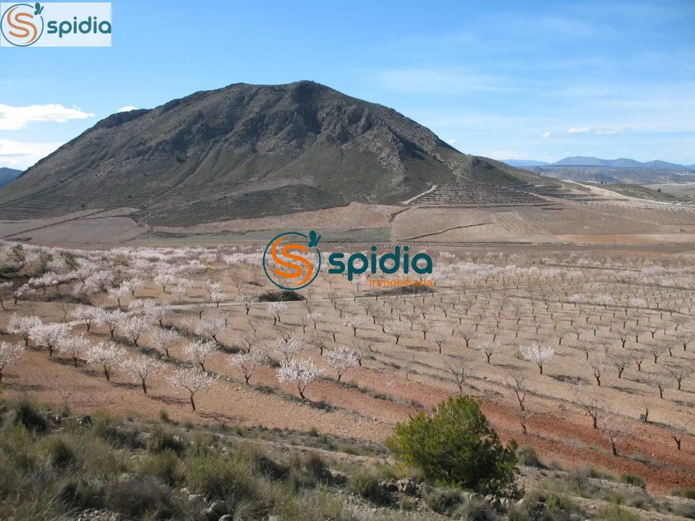 Residential land for sale in Pedanías Norte, imagen 5