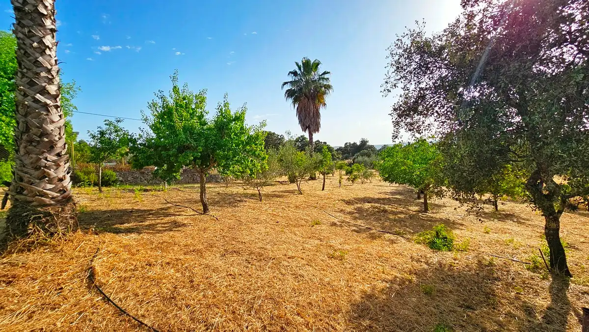 Casa o chalet en venta en El Castillo de las Guardas con Aire acondicionado, Jardín privado y Terraza