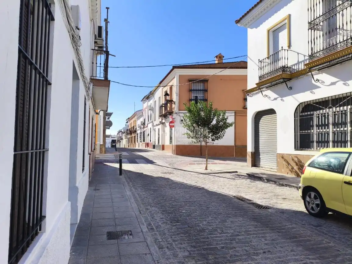Pis amb terrassa en venda a Pilas