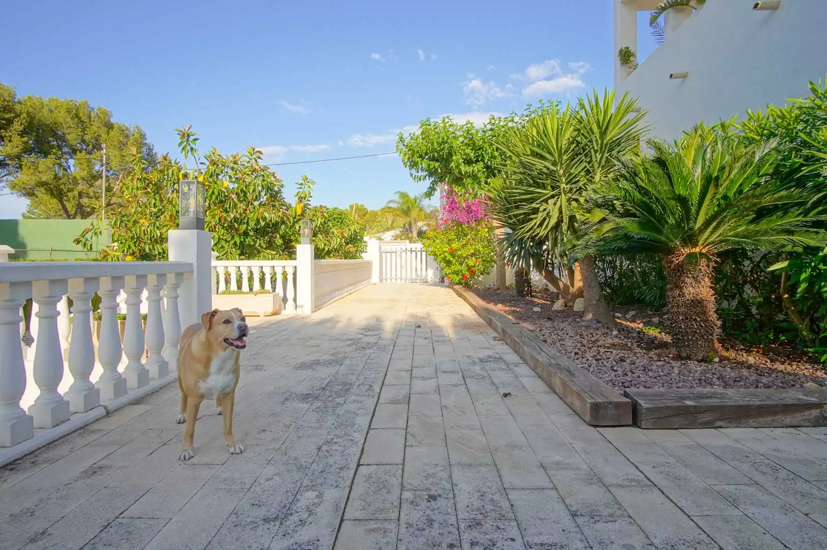 Exterior view of Houses for sale in Dénia  with Private garden and Balcony