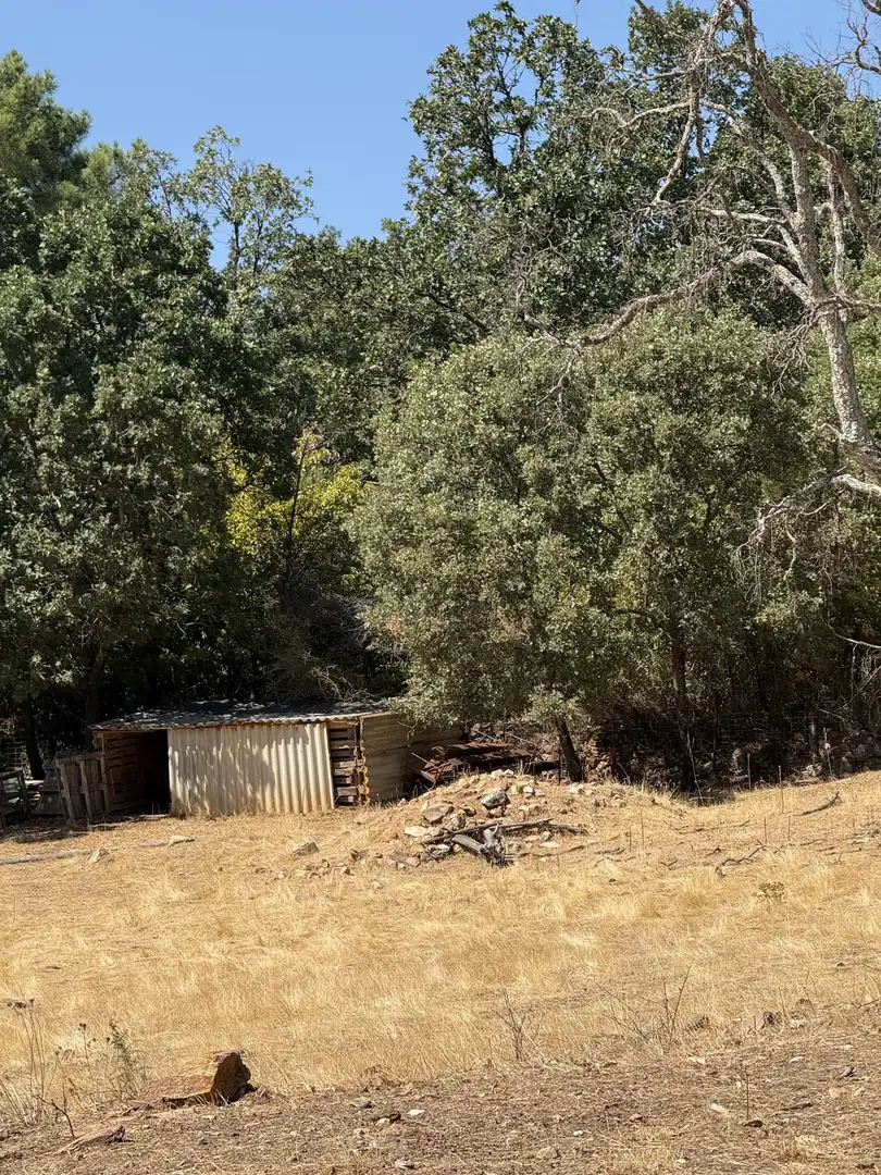 Terreno en venta en Berzocana