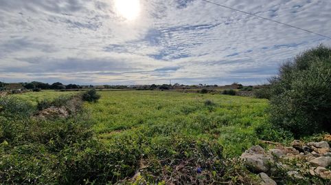 ¡Terreno rústico en venta en Ciutadella!, imatge 4