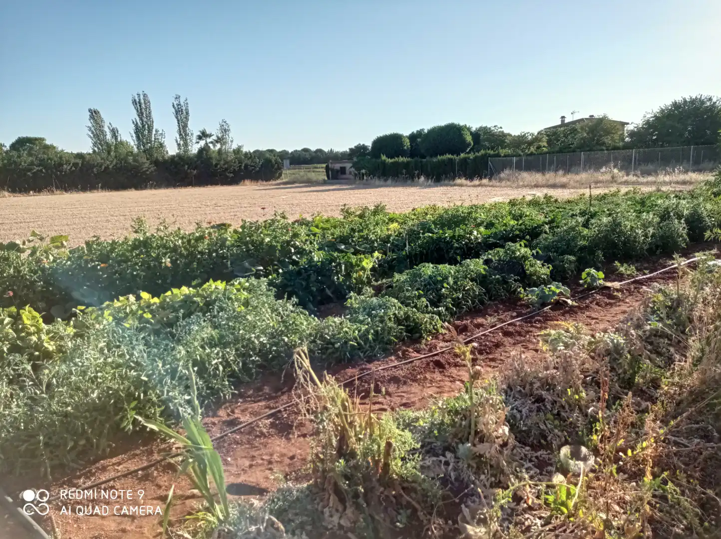Jardín de Terreno en venta en Ciudad Real