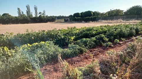 Photo 2 of Land for sale in Los Rosales, Ciudad Real