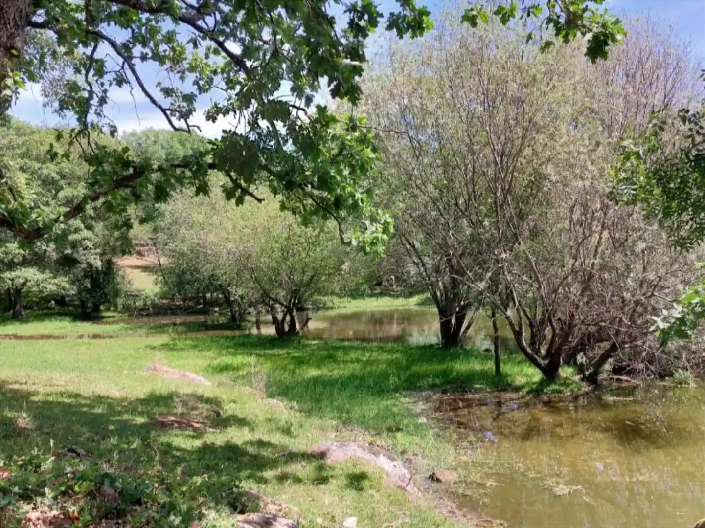 Residencial en venta en Torremenga