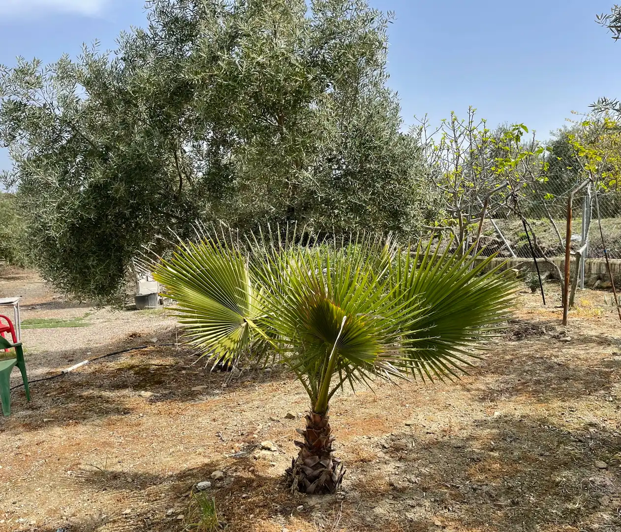 Terrenos y solares en venta en Úbeda, imagen 3