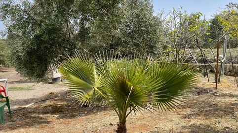 SE VENDE PARCELA RÚSTICA EN CARRETERA HUERTAÑALDA, imatge 3