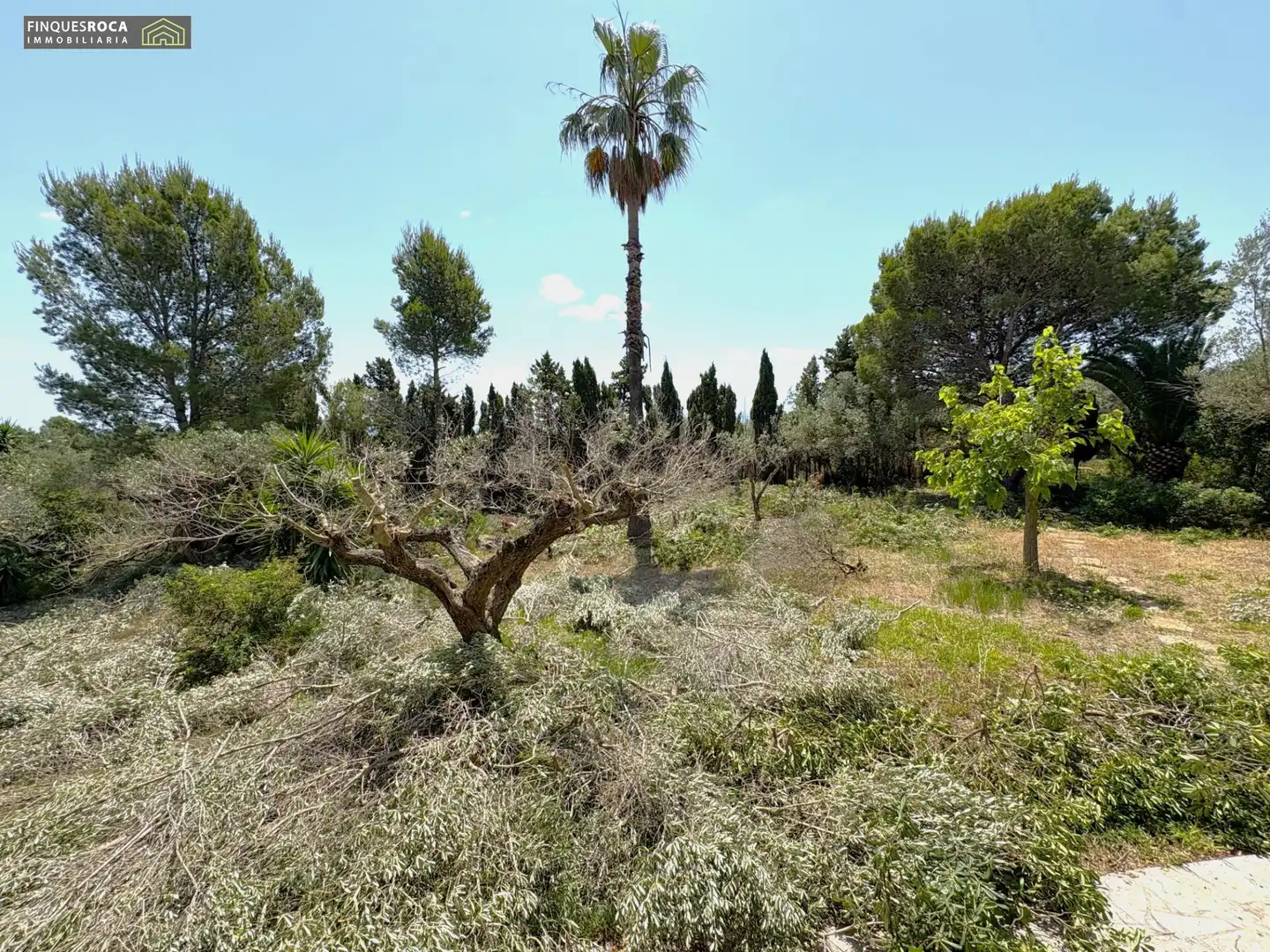 Casa o xalet en venda en Alcanar amb Aire condicionat, Calefacció i Jardí privat