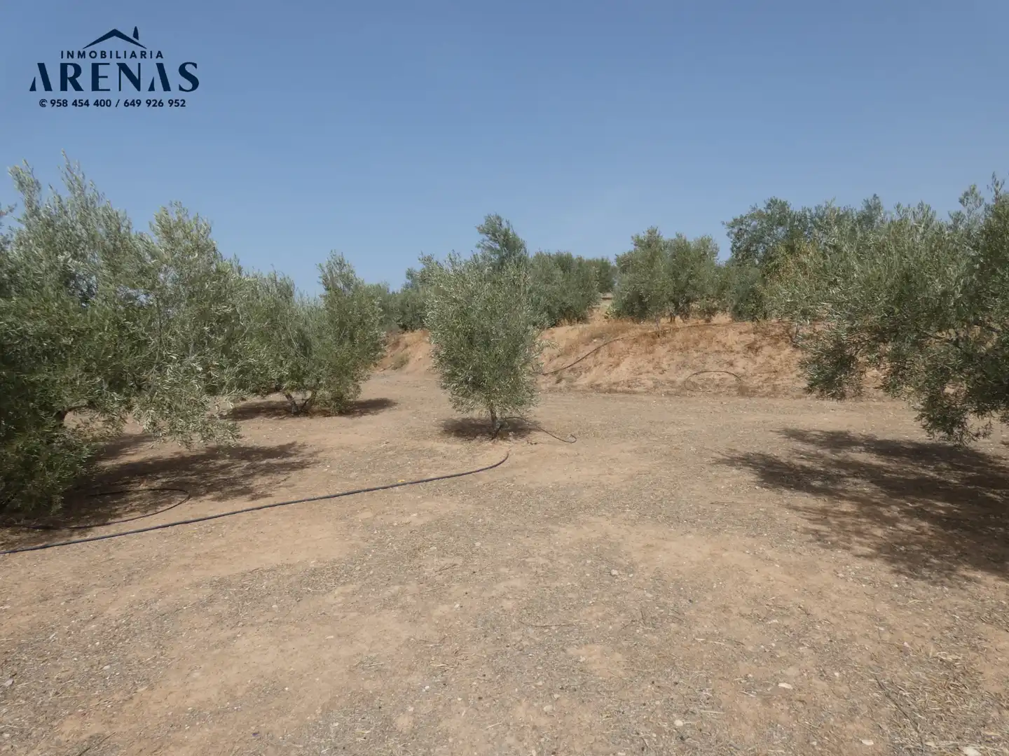 Terreni e lotti in vendita a Cogollos de la Vega, imagen 13