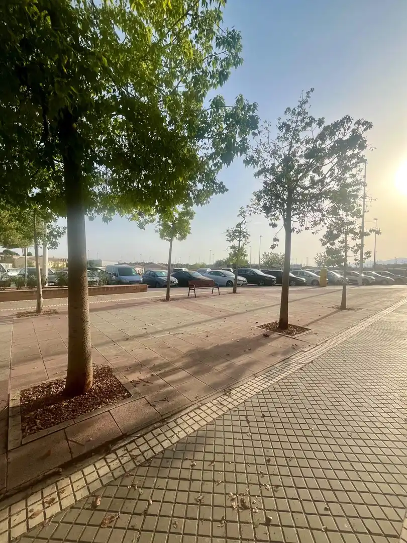 Parking de Nave industrial de alquiler en Elche / Elx