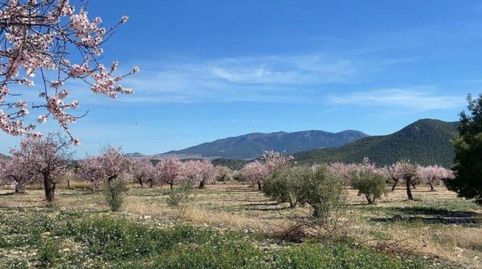 Foto 2 de Finca rústica en venda a Calle C Hoya de la Serna, Vélez-Rubio, Almería