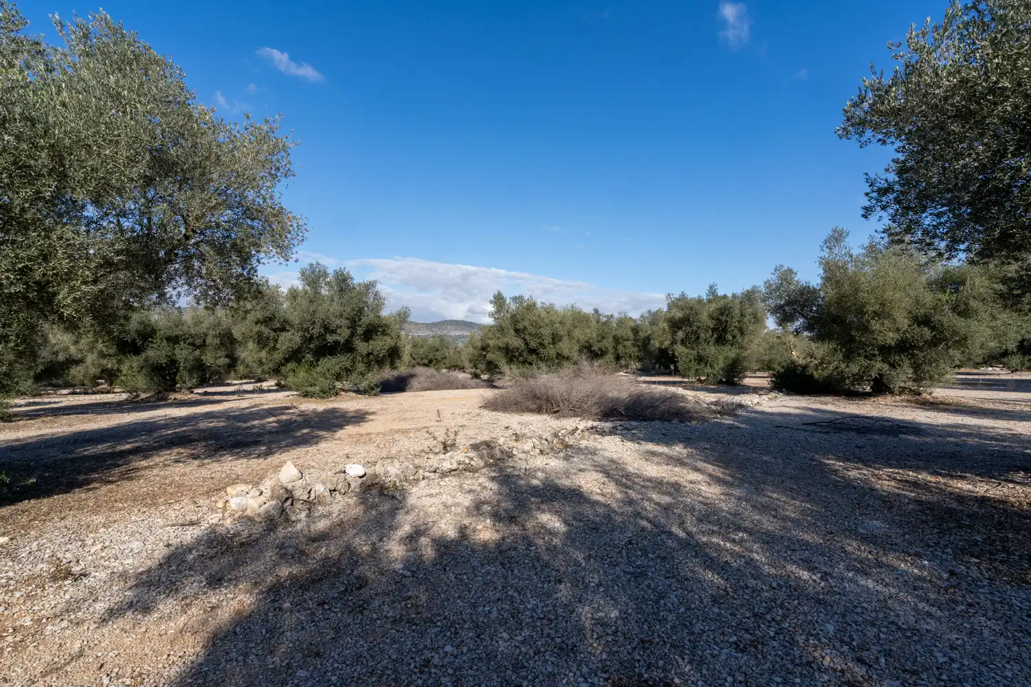 Rustikales Grundstück zum Verkauf in Ulldecona, imagen 3