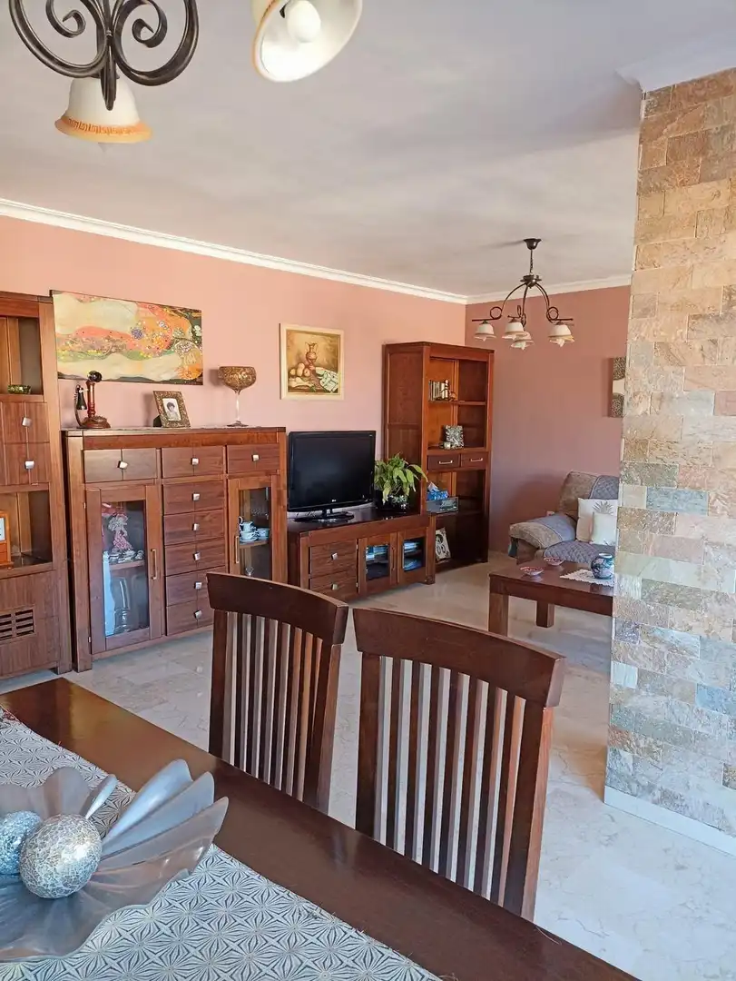 Living room of Attic for sale in Málaga  with Air Conditioner, Heating and Private garden