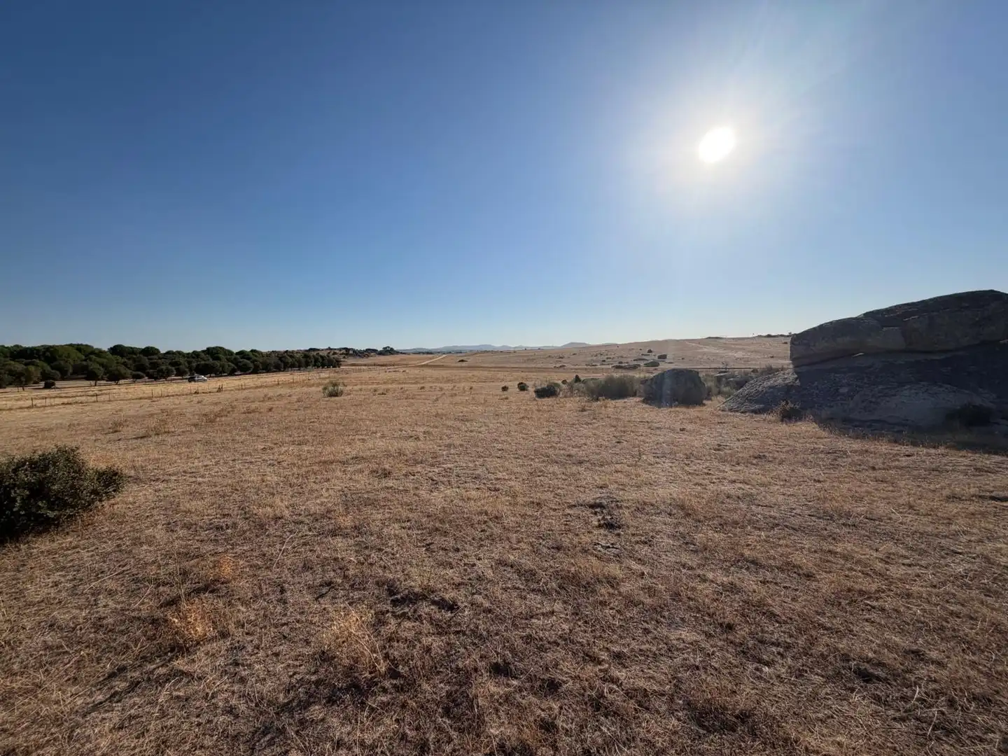 Terreno rustico in vendita a Malpartida de Cáceres, imagen 8