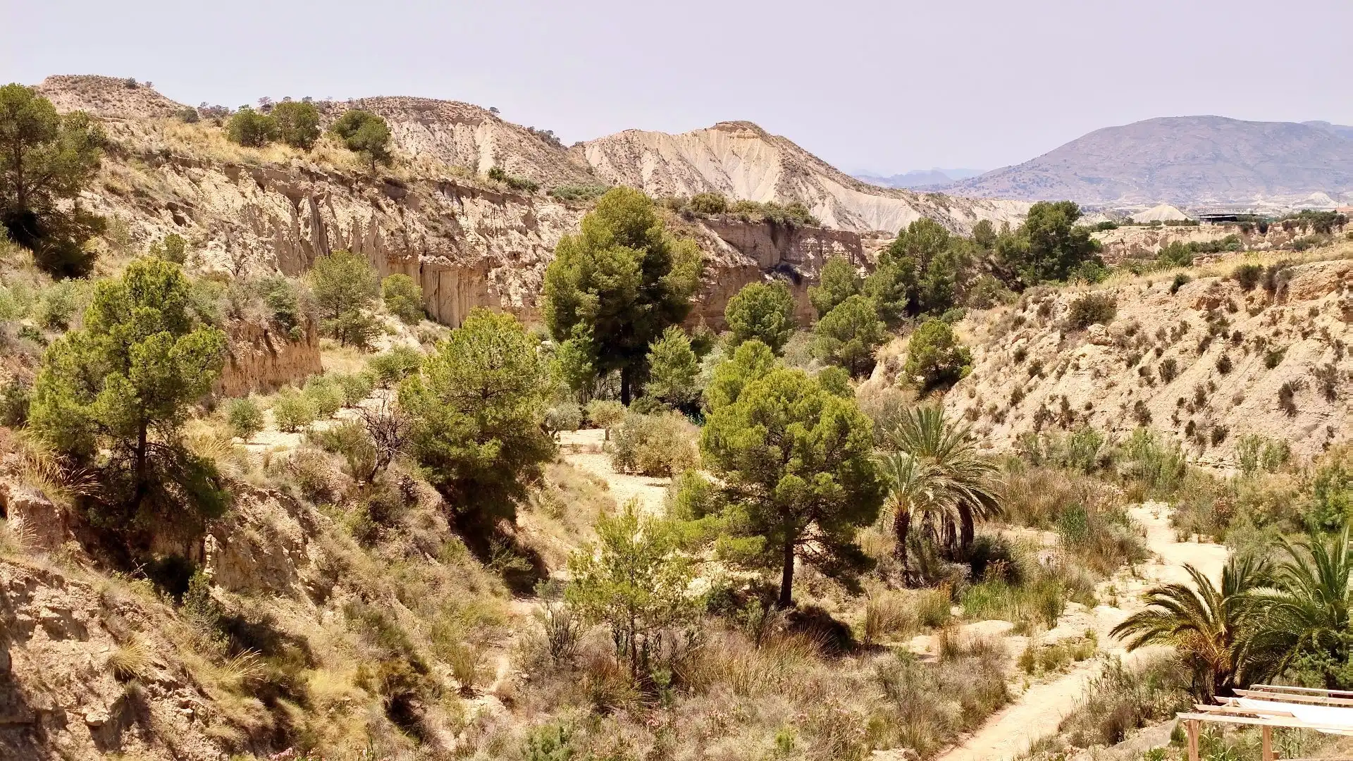 Casa in vendita a Abanilla, imagen 42