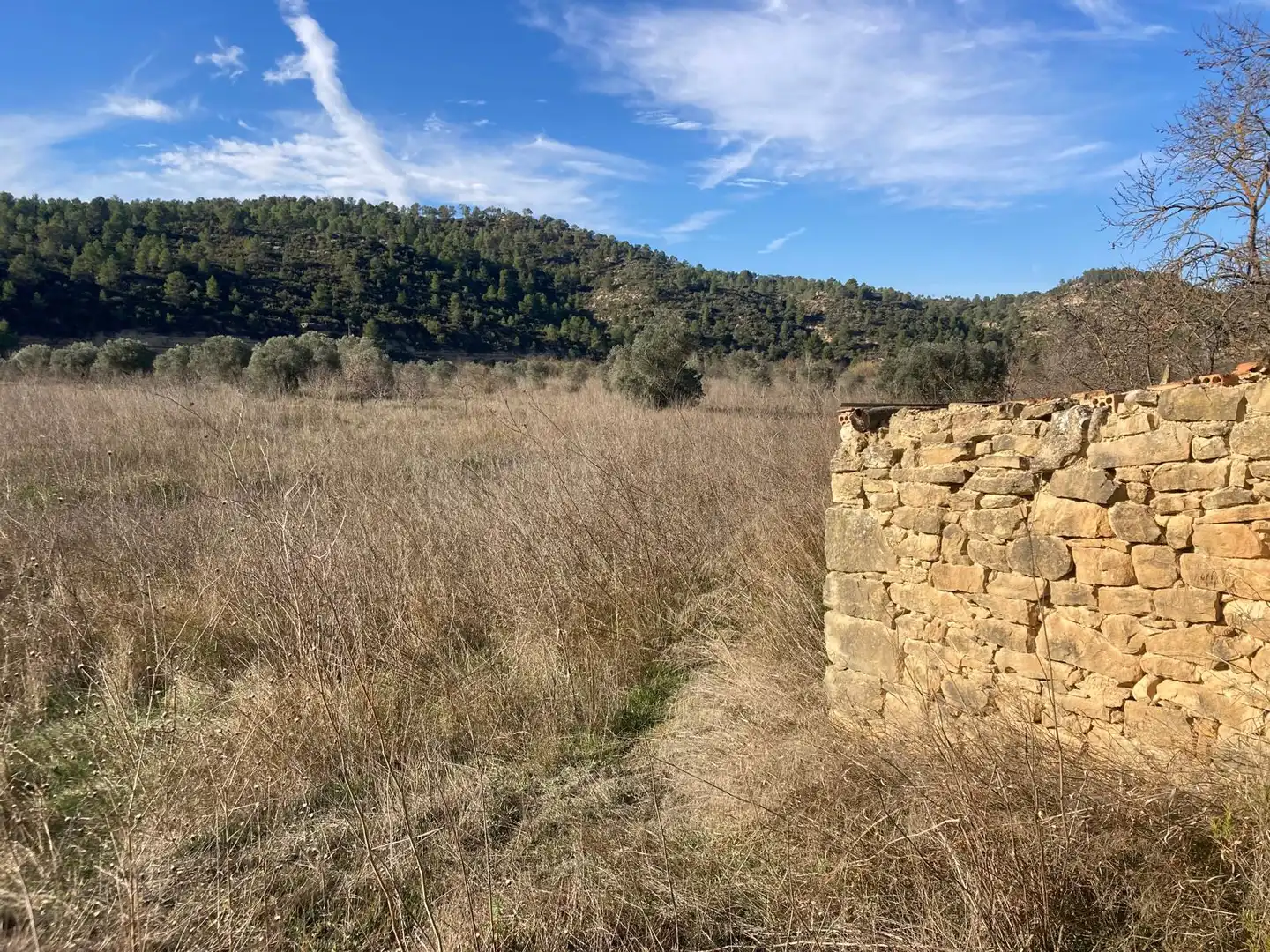 Terreno en venta en Caseres