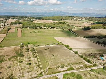 Terrain rustique à vendre à Sineu