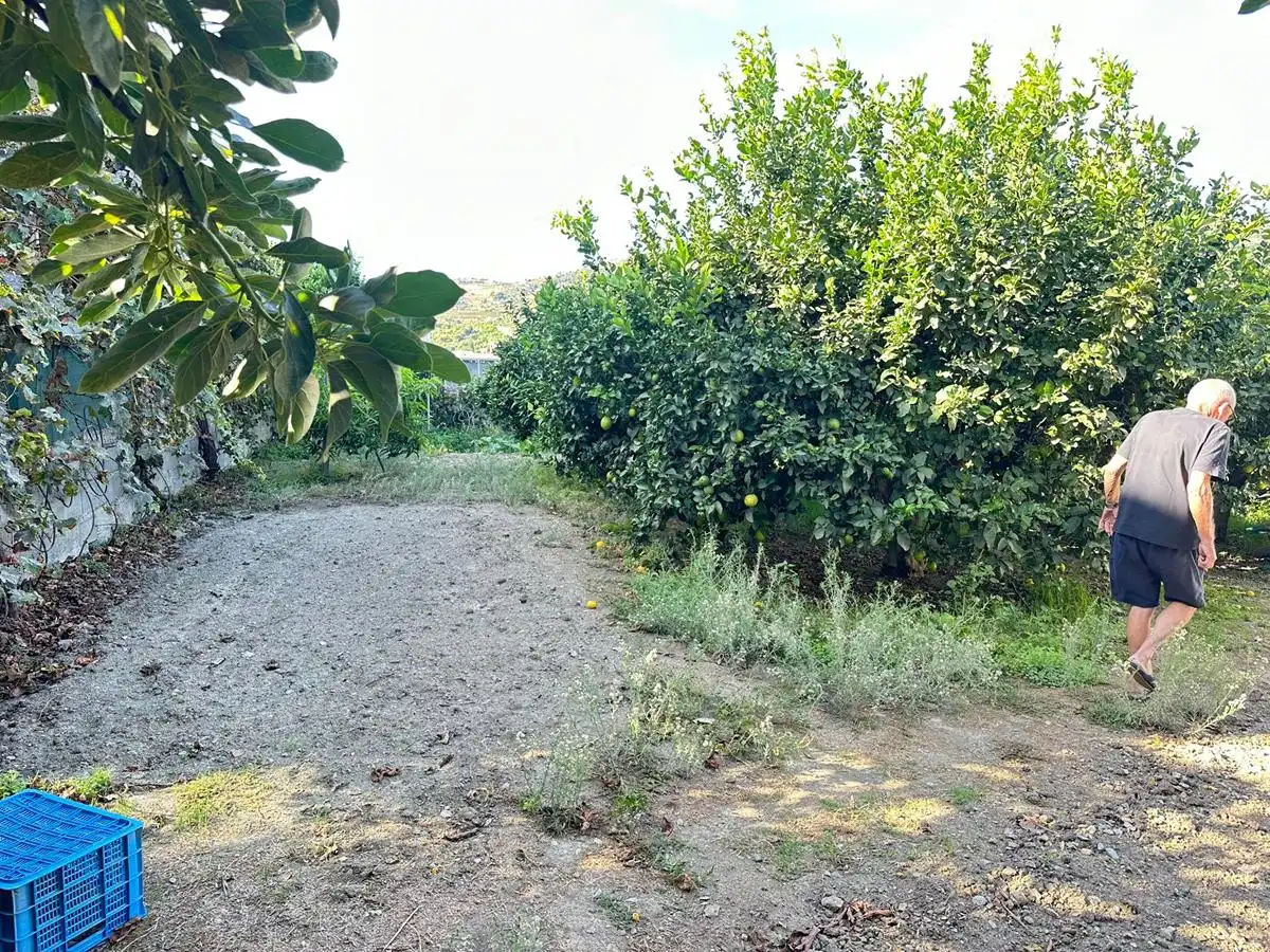 Casa rústica amb terrassa en venda a Zanahoria Pol 25 357B, imagen 18