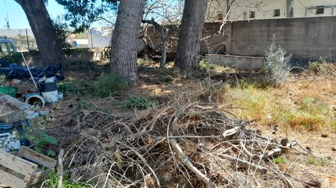 Foto 4 de Finca rústica en venta en Pueblo, Benicarló