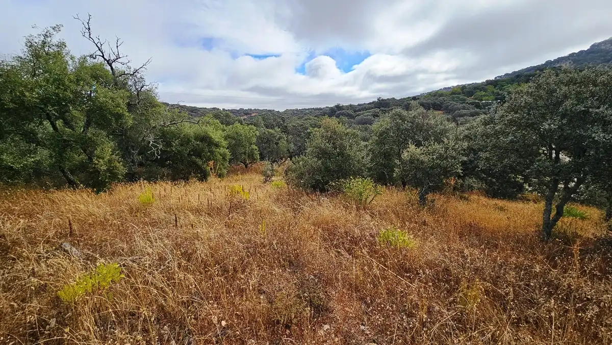Terreno en venta en Cabeza la Vaca