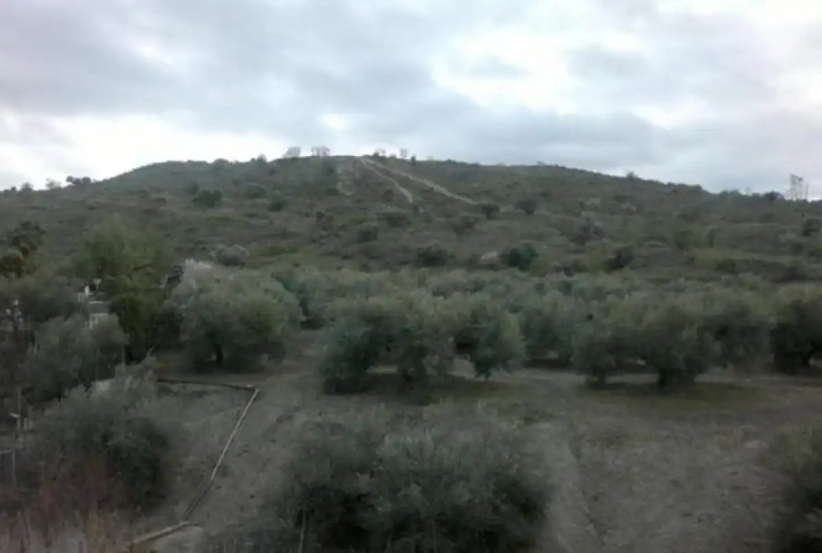 Terreni e lotti in vendita a Puente Tablas - Puente Nuevo - Cerro Molina, imagen 6