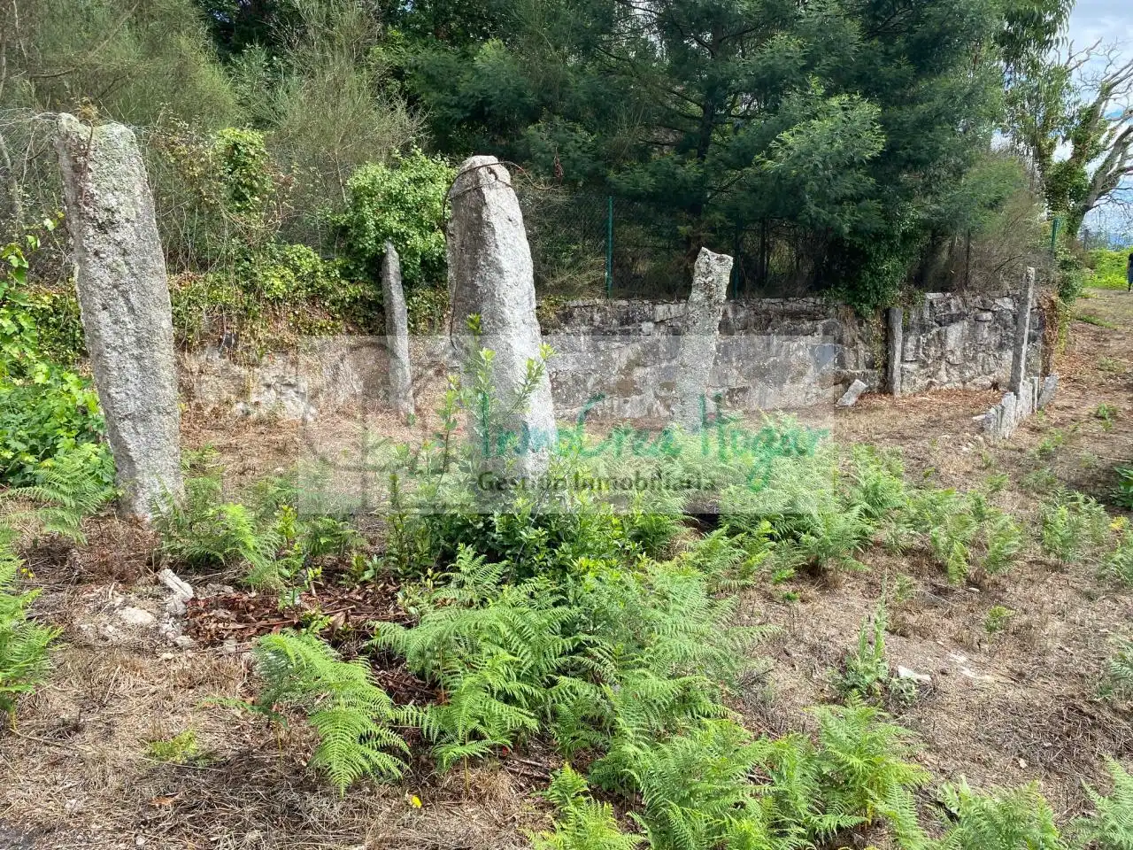 Casa rustica in vendita a Salceda de Caselas, imagen 3