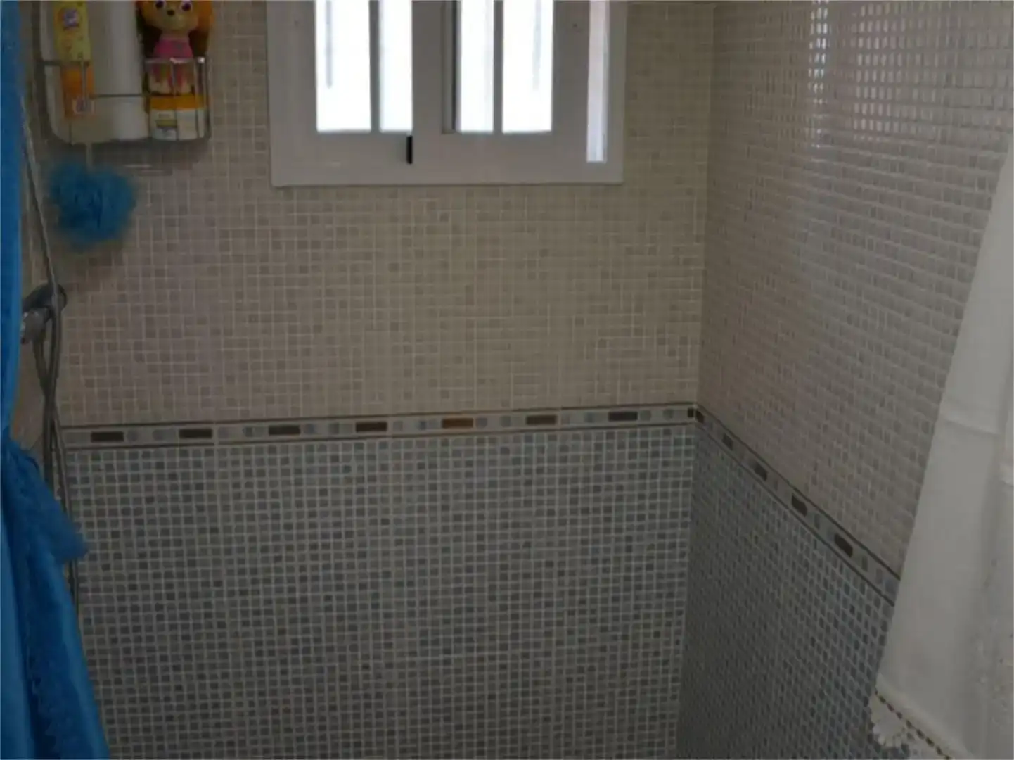 Bany de Casa adosada en venda en San Gonzalo