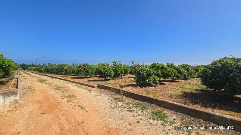 Maison avec jardin à vendre à Las Marinas / Les Marines, imagen 14