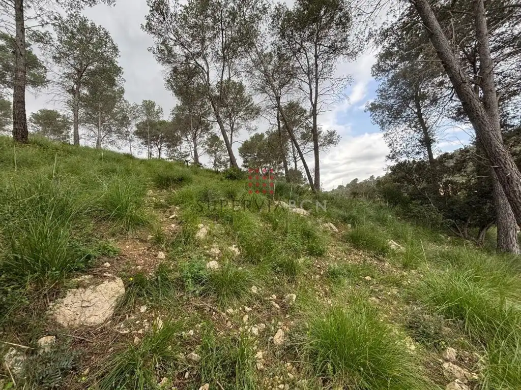 Terreny residencial en venda a Canyelles, imagen 3