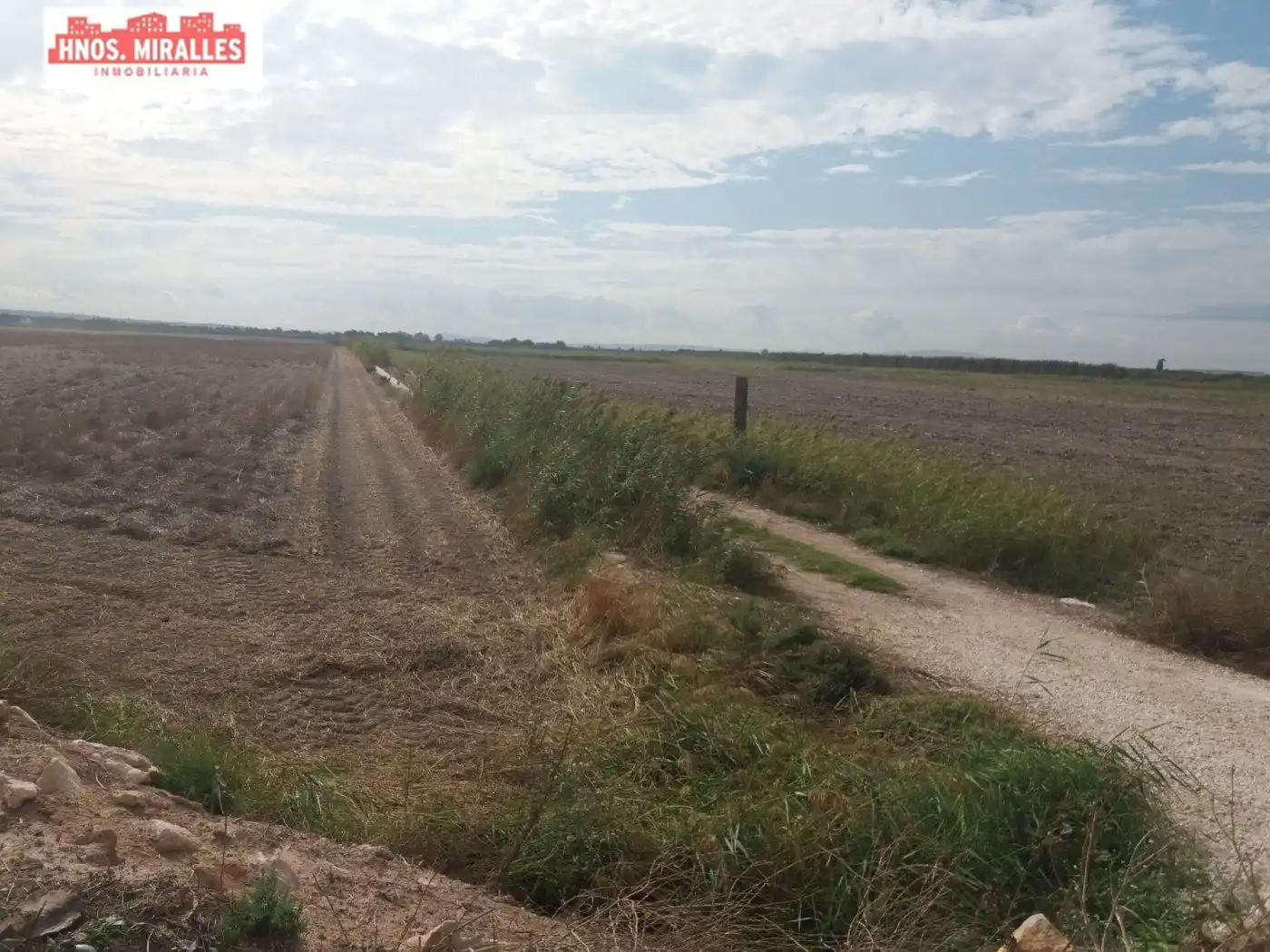 Finca rústica en venta en Elche / Elx