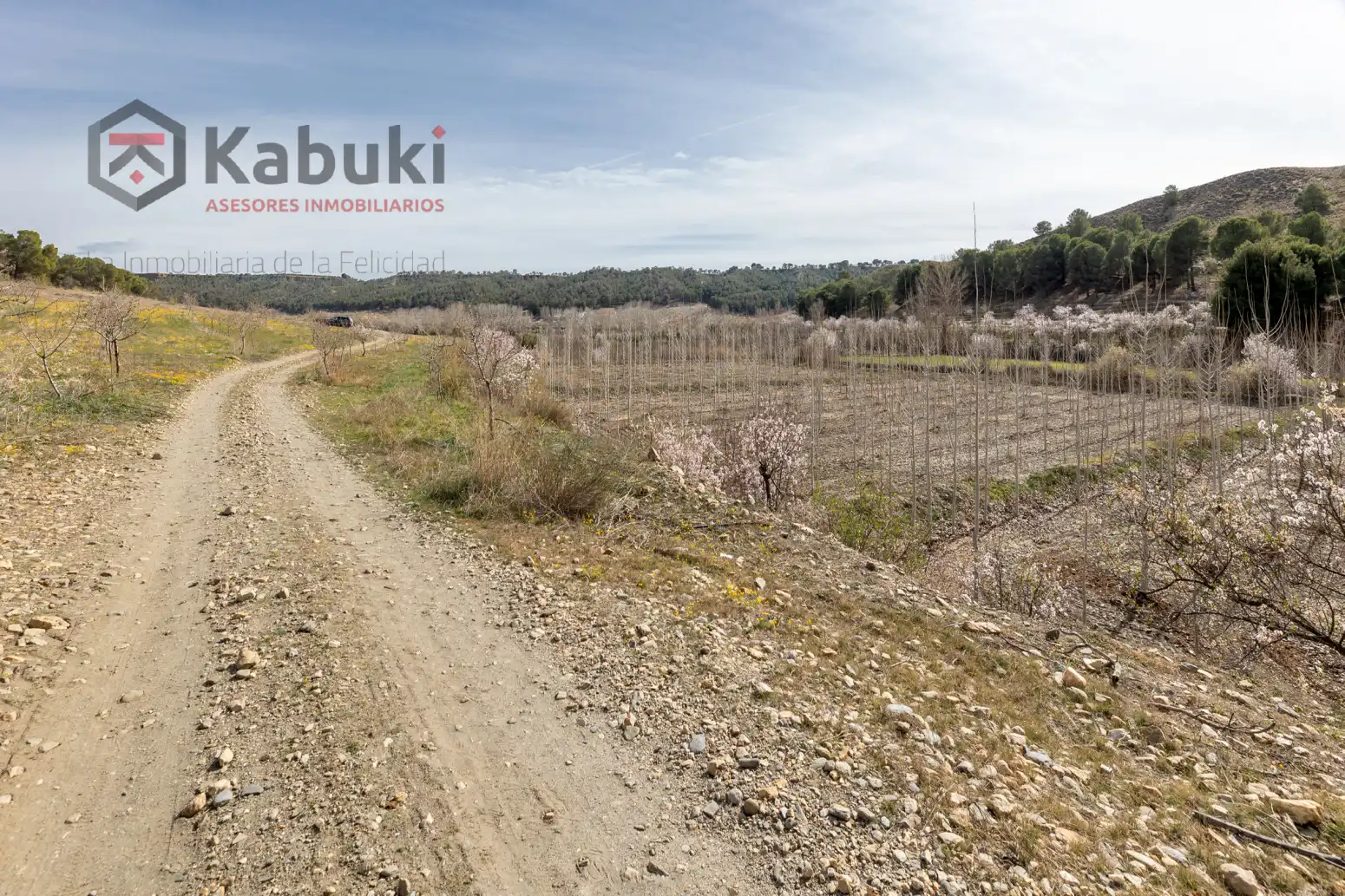 Terreni e lotti in vendita a Guadix - AUTE. VALLE DEL ZALABI, imagen 7