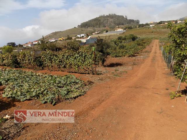 Finca rústica en Venta en Tacoronte - Los Naranjeros